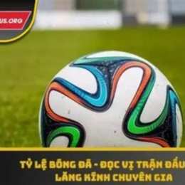 tỷ lệ bóng đá cúp
