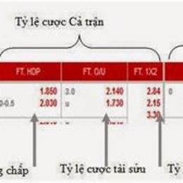 tỷ lệ bóng đá tỷ lệ cá cược