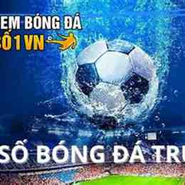 tỷ số bong da truc tuyen bongda.net
