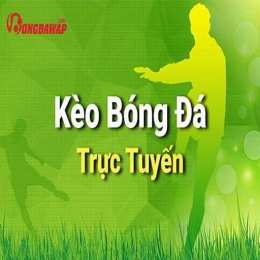 tyle bong da wap