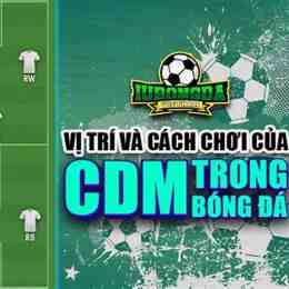 vị trí cdm trong bóng đá là gì
