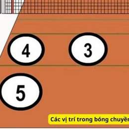 vị trí số 6 trong bóng đá
