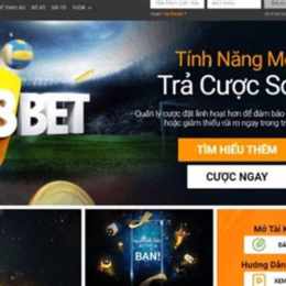 wed cá cược đá bóng