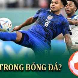 xem. bong da